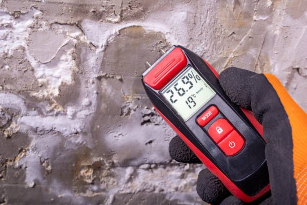 Best Office Mold Removal Services  in Calhoun, GA