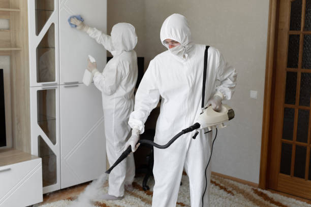 Mold Testing and Removal in Calhoun, GA
