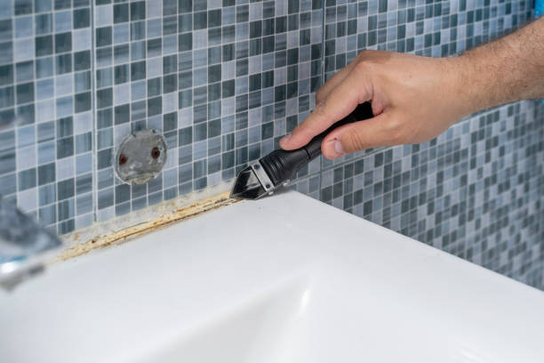 Best Emergency Mold Removal  in Calhoun, GA